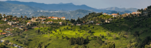 PlanWise Paraplanning Services