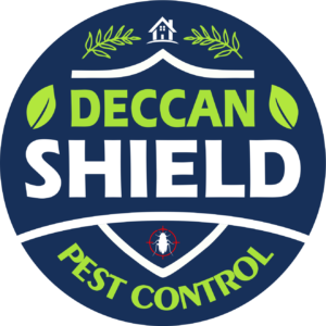 Termite Control Services - Deccan Shield