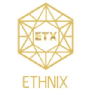 Ethnix Premium Salon - AECS Layout