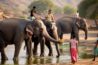 Elephant Ride In Amer