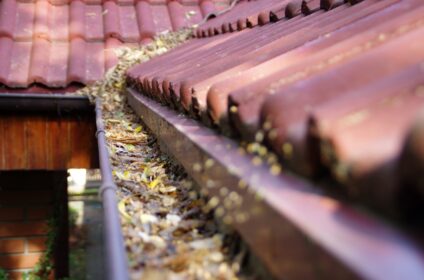 Gutter-Cleaning-Service-in-Brooklyn