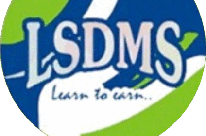 LSDMS