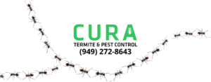 CURA Termite & Pest Control Laguna Niguel