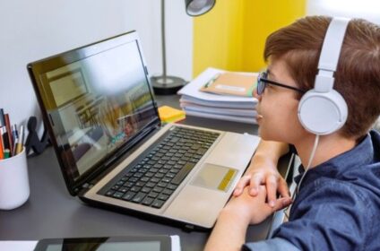 online Dutch language lessons