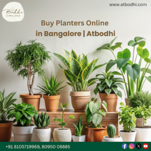 Planters & Décor in Bengaluru | Bodhi