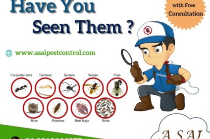 A SAI PEST CONTROL