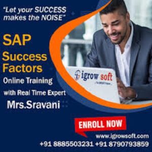 SAP Success Factors training and placement | Igrowsoft