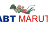 Maruti Suzuki Service (ABT Guindy, Race Course)