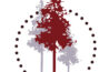 Redwud-logo