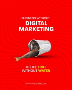 Weboxia IT Solutions - Best Digital Marketing Company in Kannur, Kerala