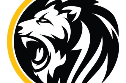 Digitalroar Softlabs