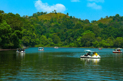 Jungle Resort Wayanad