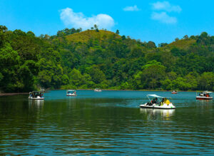 Jungle Resort Wayanad