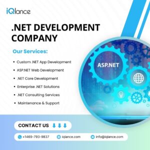 iQlance Solutions – .NET Development Services USA