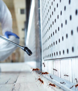 AJL Pest Control in Hyderabad
