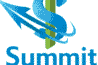 Summit RCM