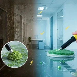 Mold Care