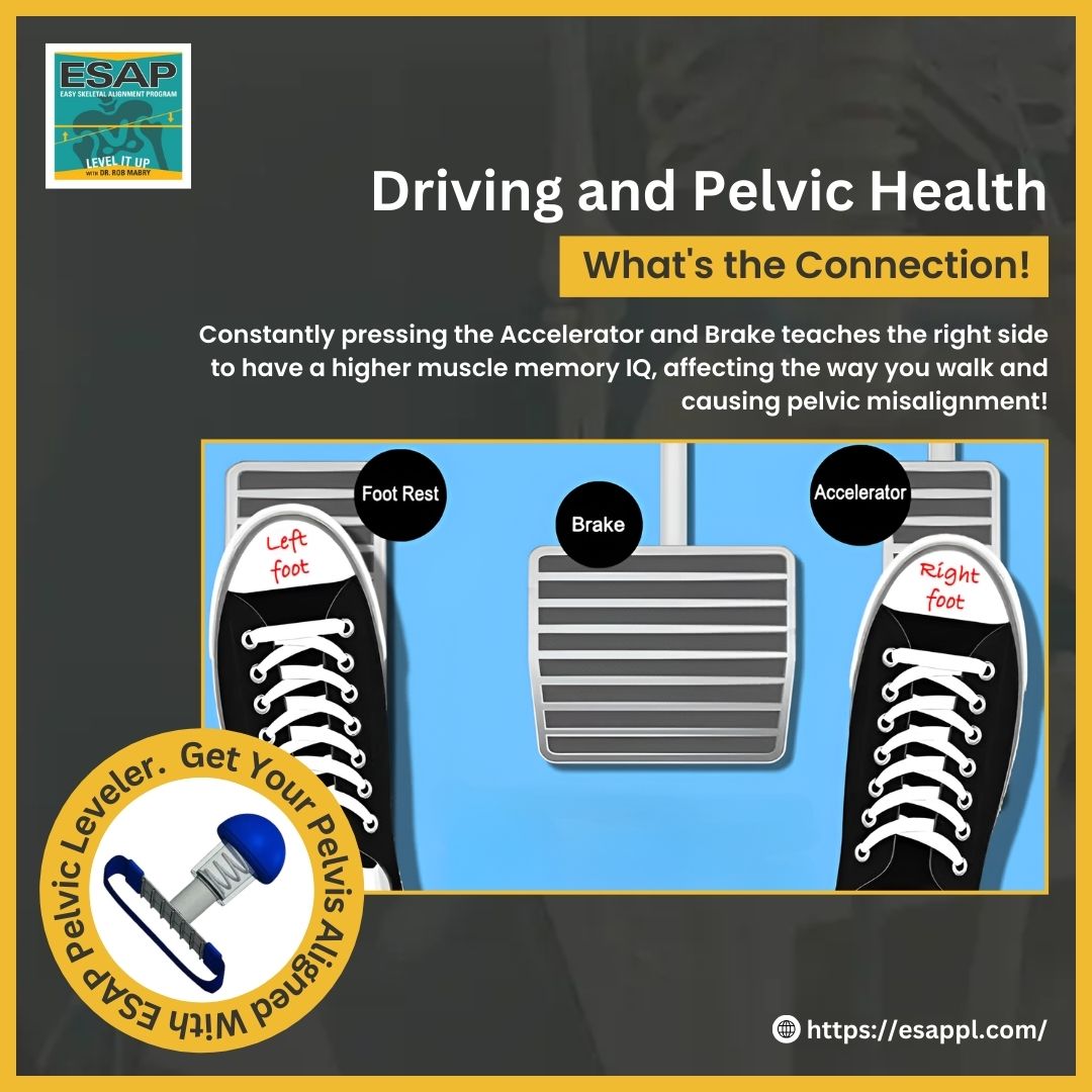 Pelvic Leveler
