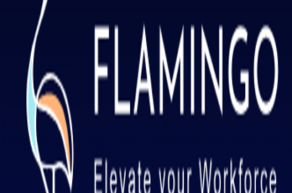 Smart attendance system using face recognition India- flamingohcm.com