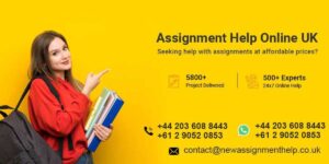 new assignment help