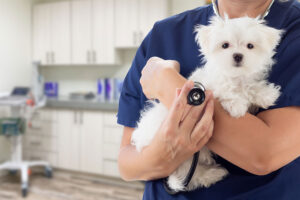 Family Veterinary Care of Oakdale