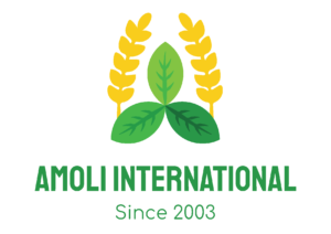 Amoli International