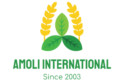 Amoli international