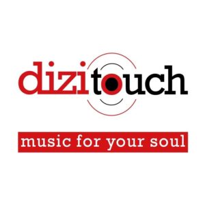 Dizitouch-Home Theater in Lucknow | Sound Systems In Lucknow