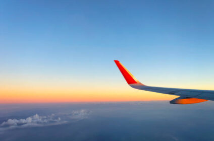 Flights from Dallas to Tampa