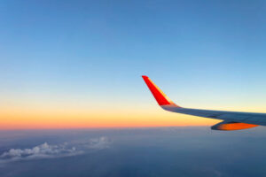 Flights from Dallas to Tampa