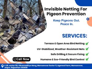Pigeon Net Service in Jaipur for Balcony Protection