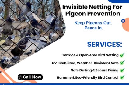 pigeon net service in Jaipur
