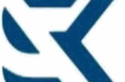 The SK Services