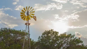 Windmill Wellness Ranch