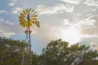 Windmill Wellness Ranch