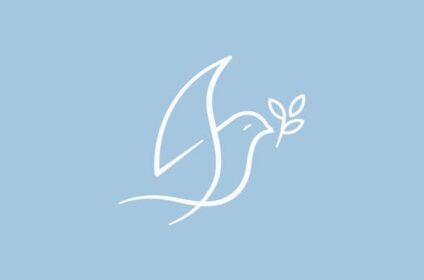 best skin care brand
