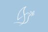 best skin care brand