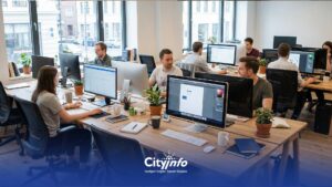 Cityinfo Services
