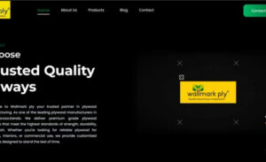 Leading Plywood Companies in Perumbavoor – Quality Wood Panels