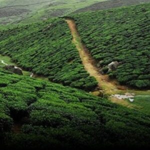 Ooty Heritage Tours And Travels