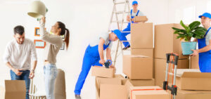 Asia Logistics Relocation - Packers and Movers in Pilibhit