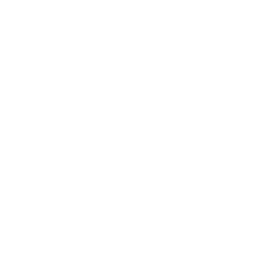 Satvatma