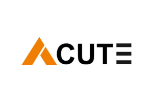 Acute vision consultancy