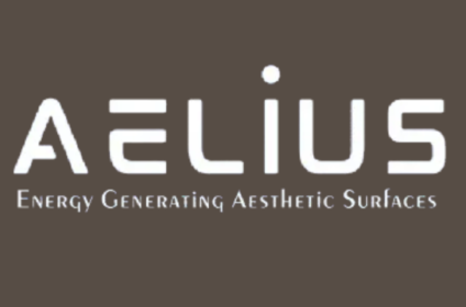 Aelius Turbina LLP
