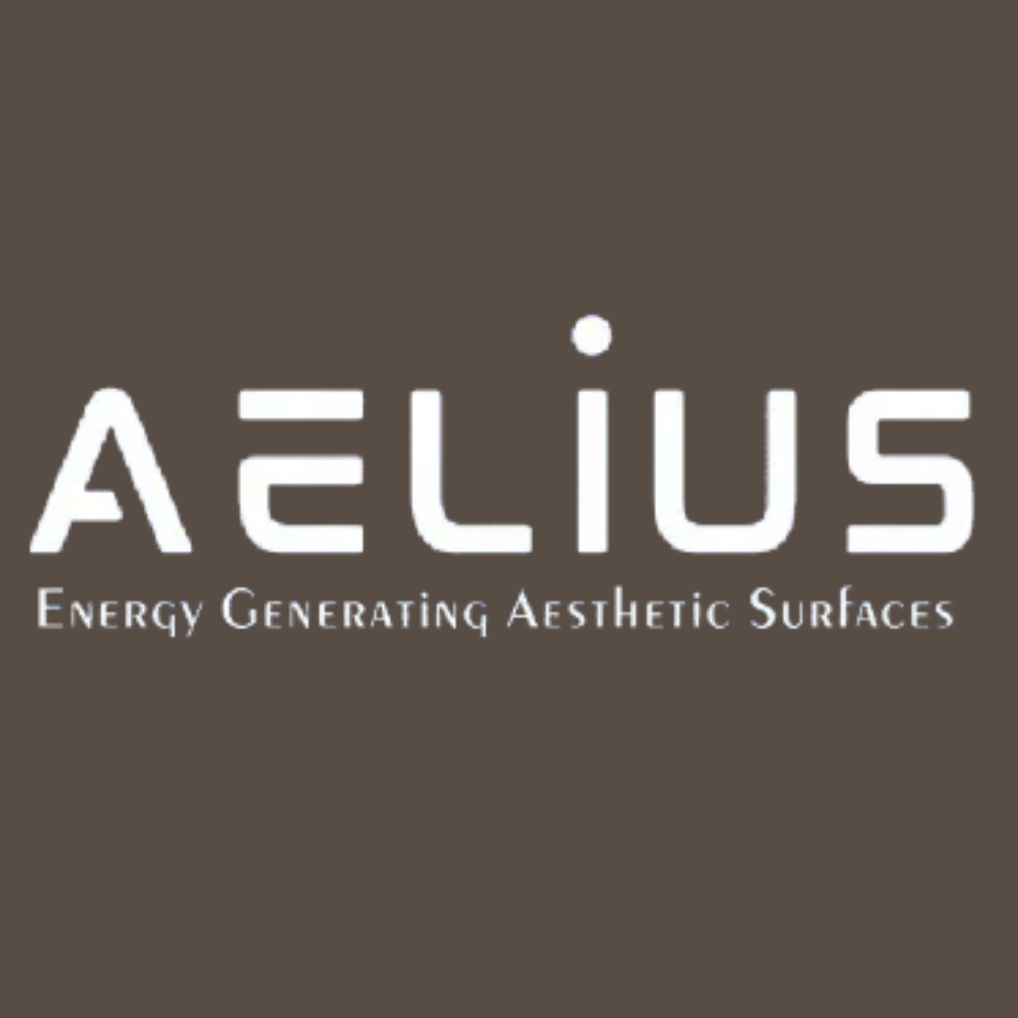 Aelius Turbina LLP
