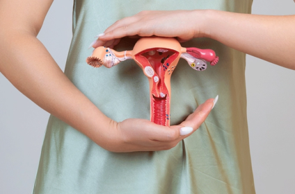 Feto IVF