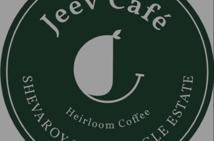 Jeev cafe – Under the cherry tree