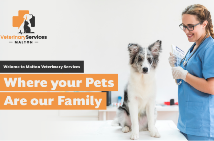 Malton Veterinary Services