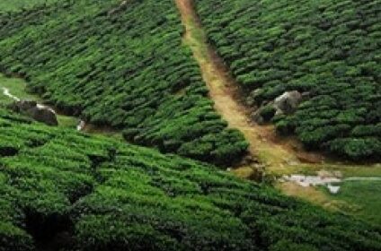 Ooty Heritage Tours And Travels