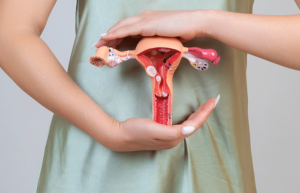 Feto IVF - Infertility and IVF Center in Coimbatore